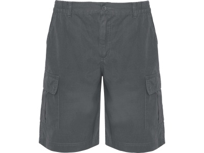 Шорты Armour, свинцовый Шорты Armour, свинцовый