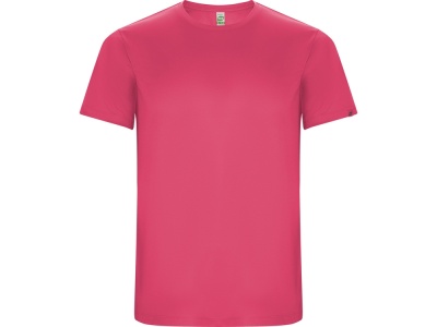 Спортивная футболка IMOLA мужская