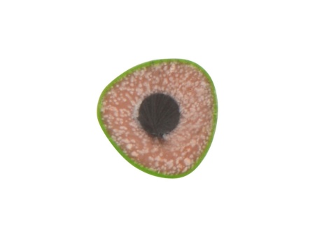 Трехгранный карандаш Conti из переработанных контейнеров