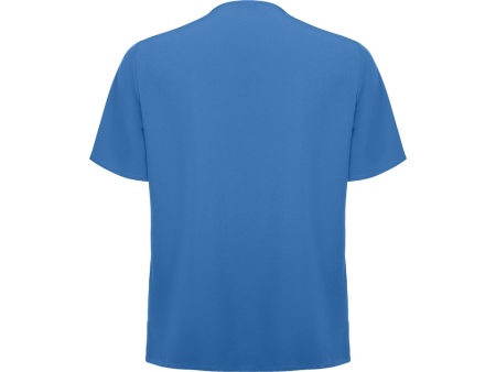 Рубашка мужская Ferox, голубой