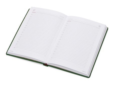 Ежедневник недатированный А5 Velvet, зеленый Ежедневник недатированный А5 Velvet, зеленый