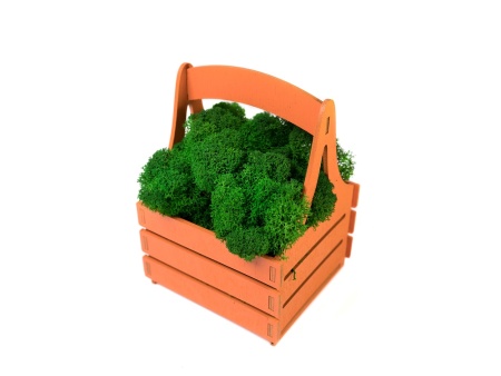 Композиция Корзинка со мхом, оранжевый