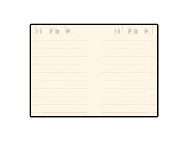 Ежедневник недатированный А5 Trend