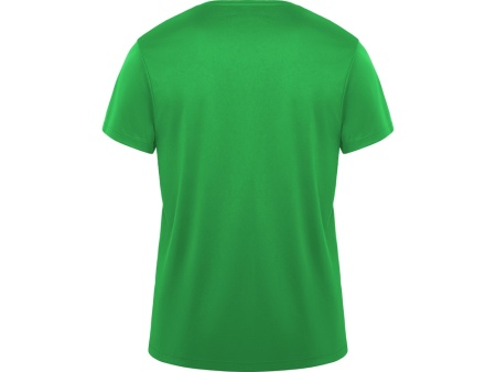 Футболка Daytona мужская, папоротниковый