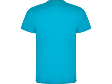 Футболка Dogo Premium мужская, бирюзовый