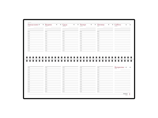 Планинг недатированный Бумвинил Планинг недатированный Бумвинил