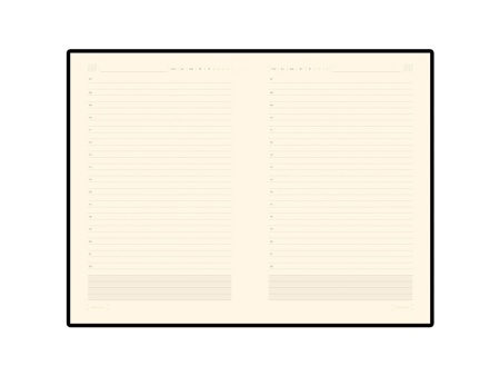 Ежедневник недатированный А5 Zenith