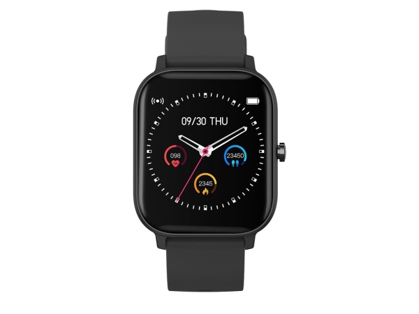 Смарт-часы Canyon SW-74 Wildberry, IP67, черный Смарт-часы Canyon SW-74 Wildberry, IP67, черный