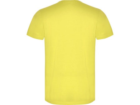 Футболка AKITA мужская