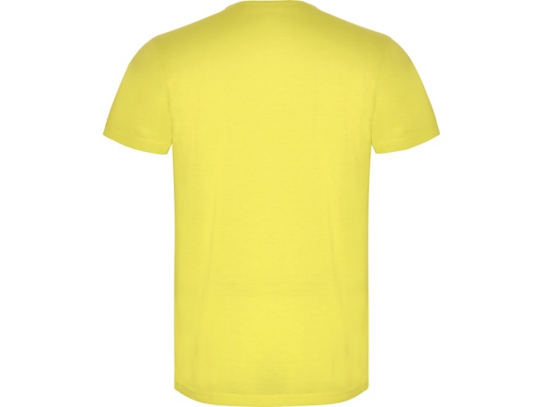 Футболка AKITA мужская