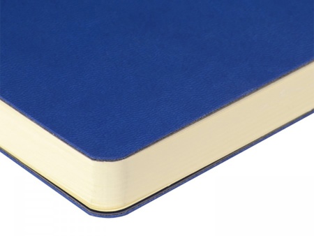 Ежедневник недатированный А5 Tokyo, синий Ежедневник недатированный А5 Tokyo, синий