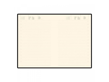 Ежедневник недатированный B5 Tintoretto New, малиновый