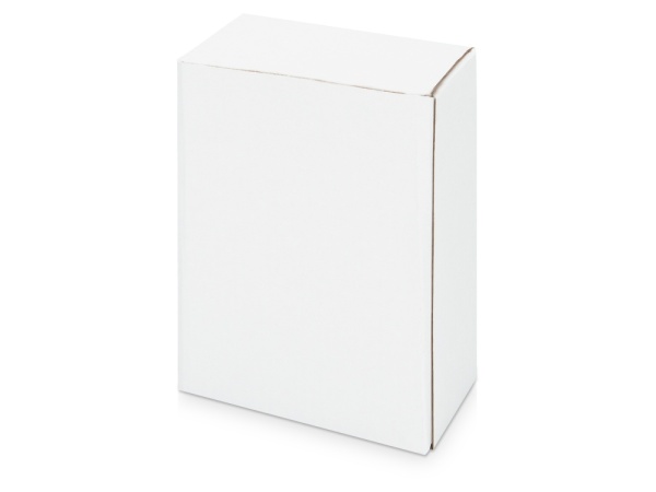 Часы Государственное устройство Российской Федерации