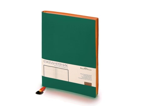 Ежедневник недатированный А5 Mercury Ежедневник недатированный А5 Mercury