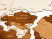 Интерьерная карта мира World Интерьерная карта мира World