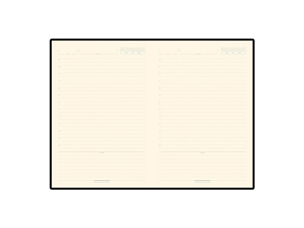 Ежедневник недатированный А5 Chelsea Ежедневник недатированный А5 Chelsea