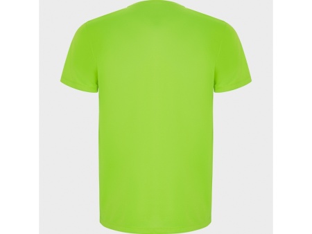 Спортивная футболка IMOLA мужская