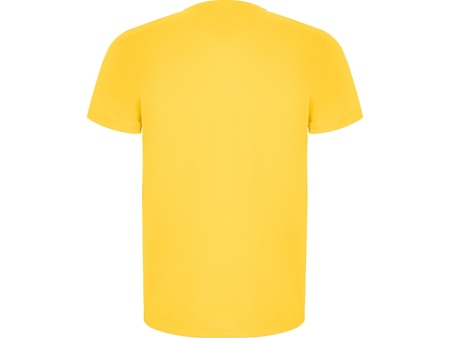 Футболка Imola мужская, желтый
