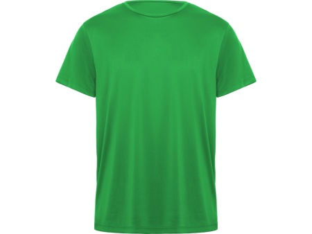 Футболка Daytona мужская, папоротниковый