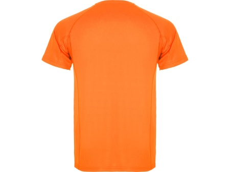 Спортивная футболка MONTECARLO мужская