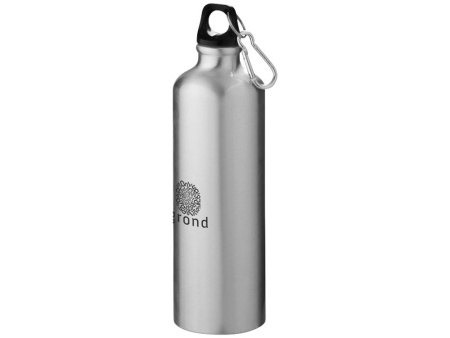 Бутылка Pacific с карабином, серебристый