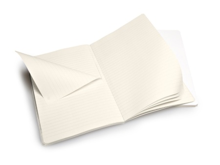 Записная книжка Moleskine Volant (в линейку, 2 шт.), Large (13х21см), белый Записная книжка Moleskine Volant (в линейку, 2 шт.), Large (13х21см), белый