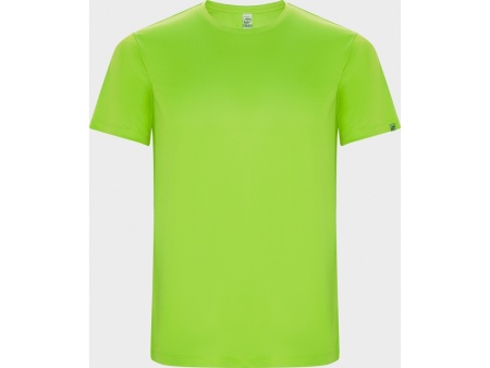 Спортивная футболка IMOLA мужская