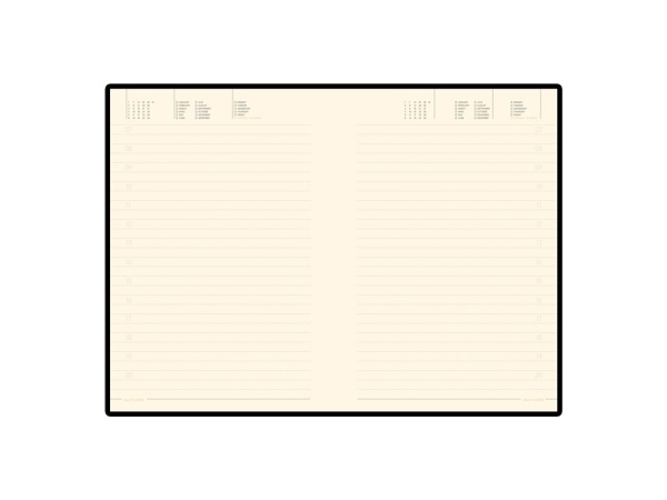 Ежедневник недатированный A5 Trend