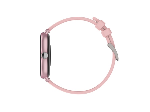 Умные часы Barberry SW-79, IP67 Умные часы Barberry SW-79, IP67